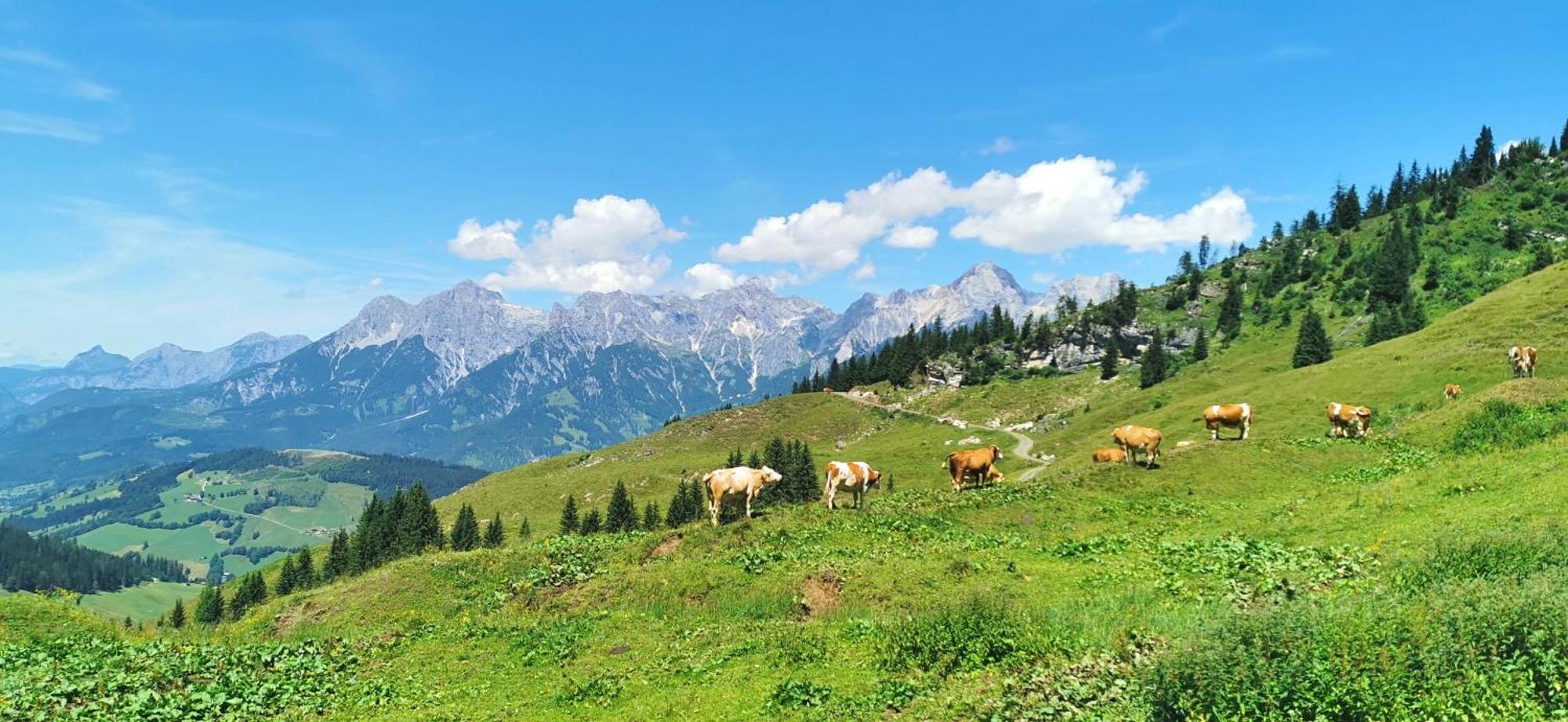 Maria Alm - Komfortables Apartment Gipfelglueck Saalfelden Esterno foto